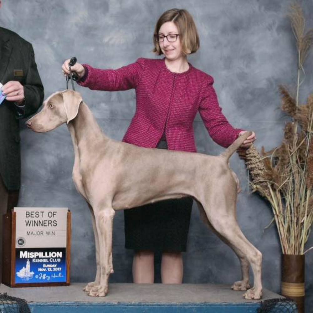 Meet your Posher, Melissa